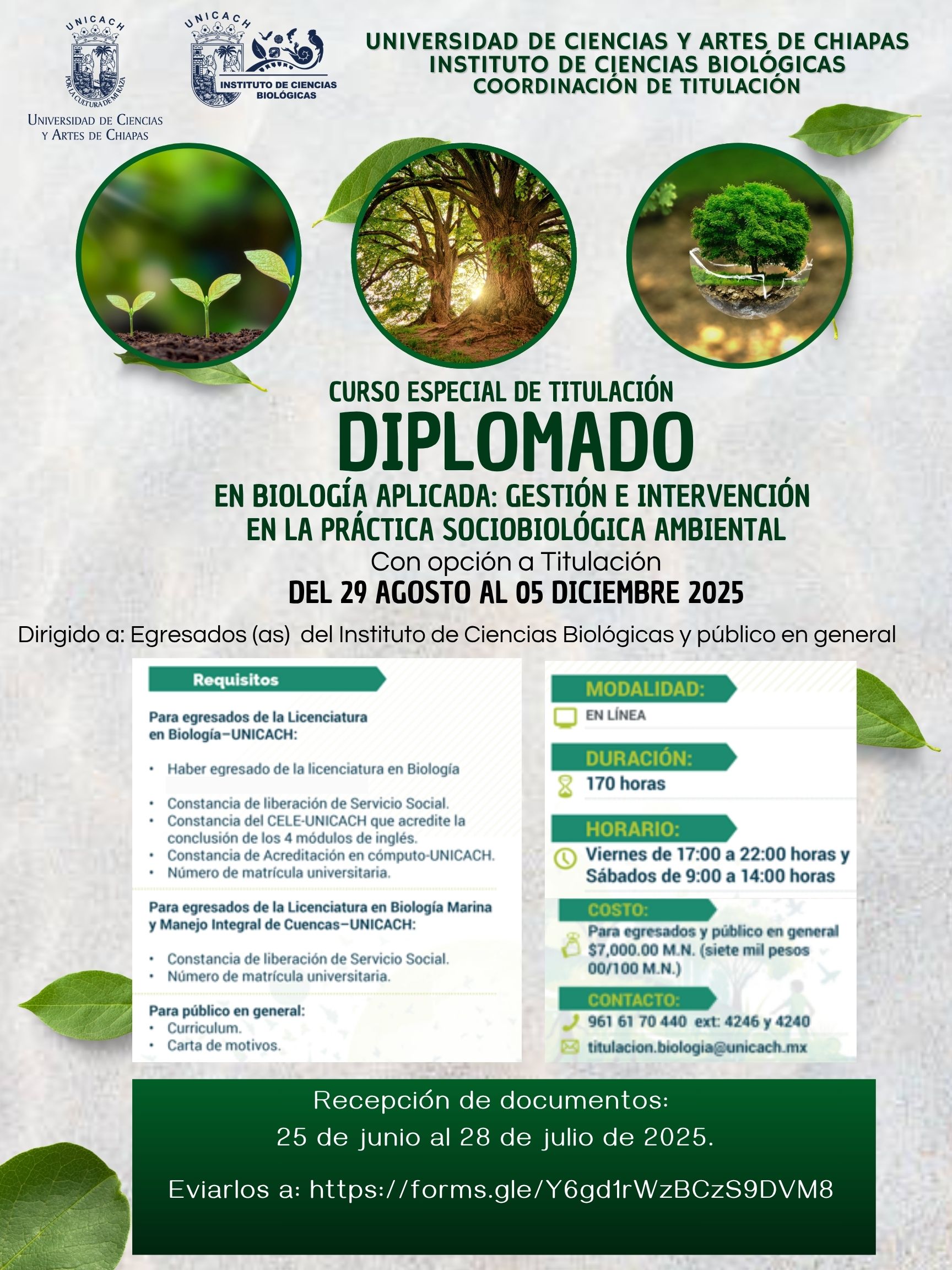 Diplomado 29 de agosto